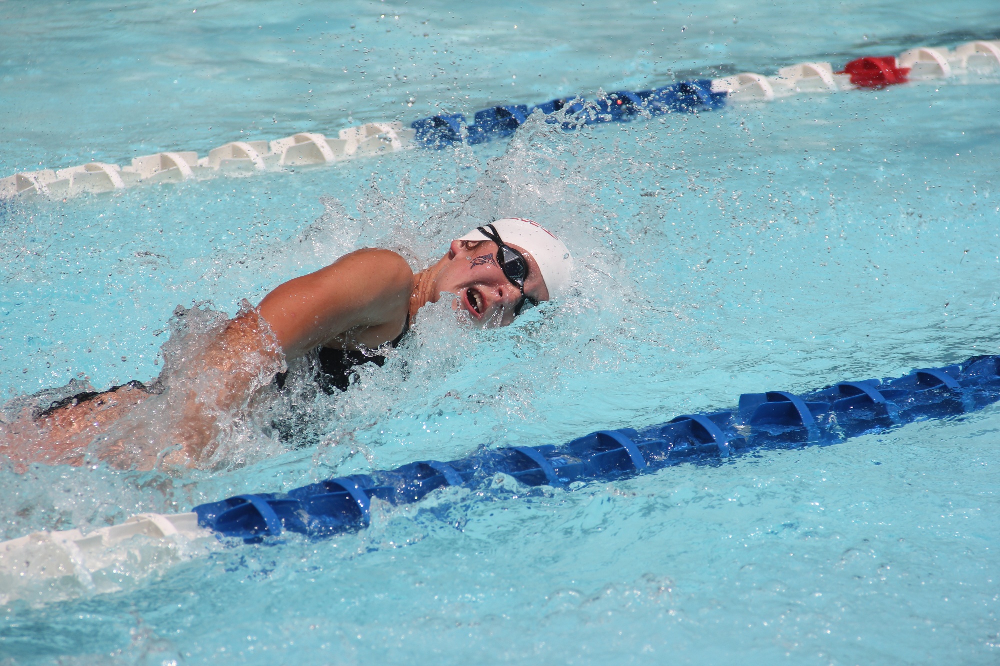 Pembroke Meadows Marlins Swim Team Home